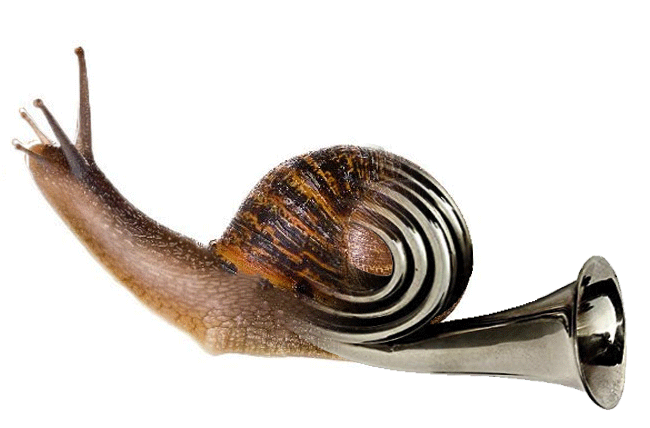 14073106-20163204-(1)